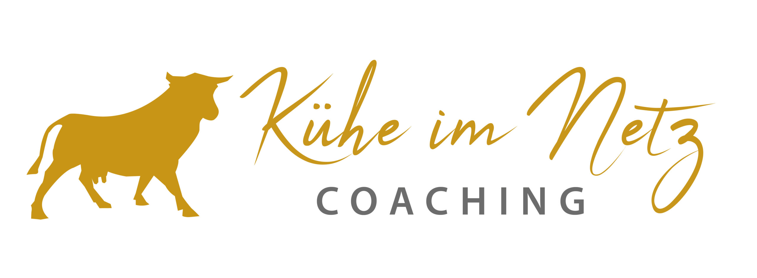 Kühe im Netz Coaching